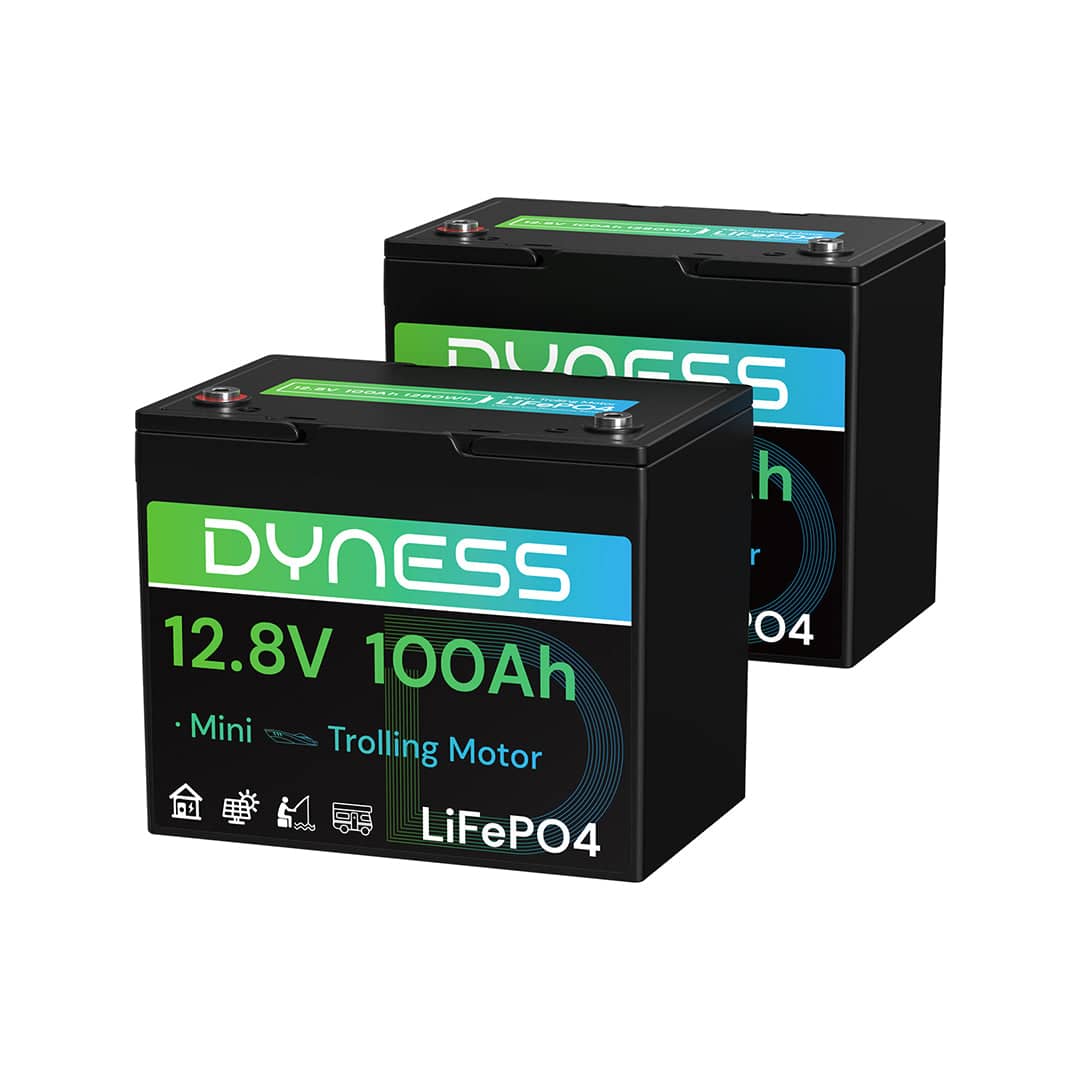 Dyness LiFePO4 Battery Pack 12.8V 100Ah